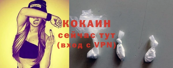 гашик Вязники