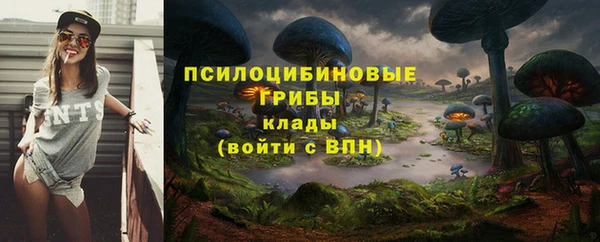 гашик Вязники