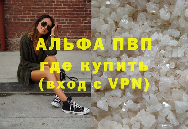 винт Вяземский