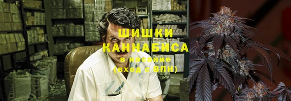 винт Вяземский