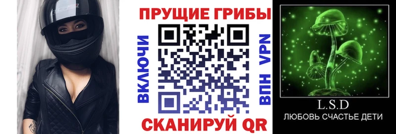 Псилоцибиновые грибы мухоморы Купить где Озёры